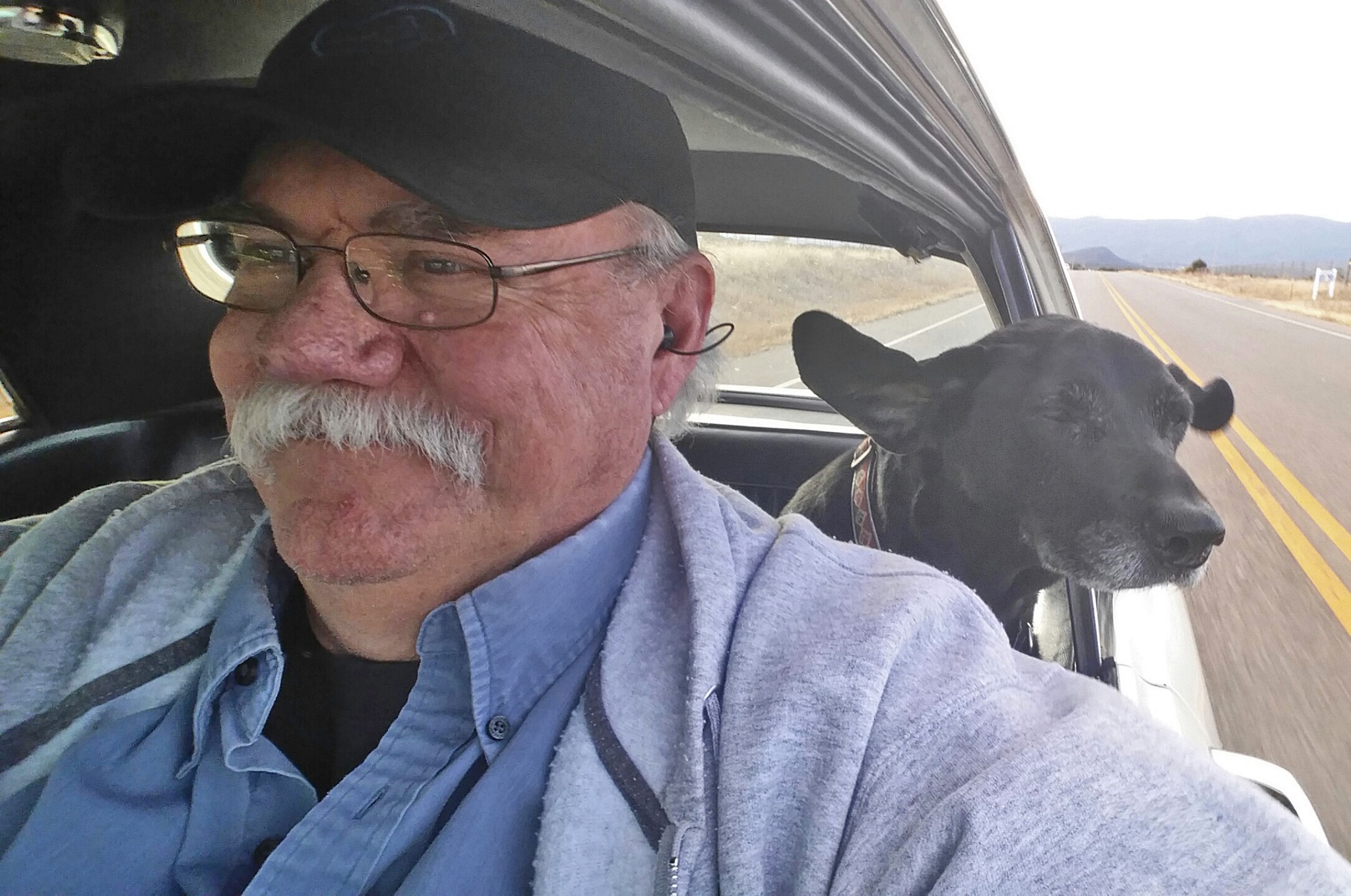 Man in car with dog in the backseat sticking its head out the window